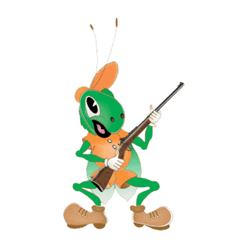 Crickett