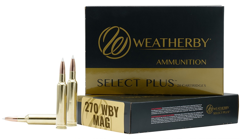 270WBY 134GR HAMMER CUSTOM