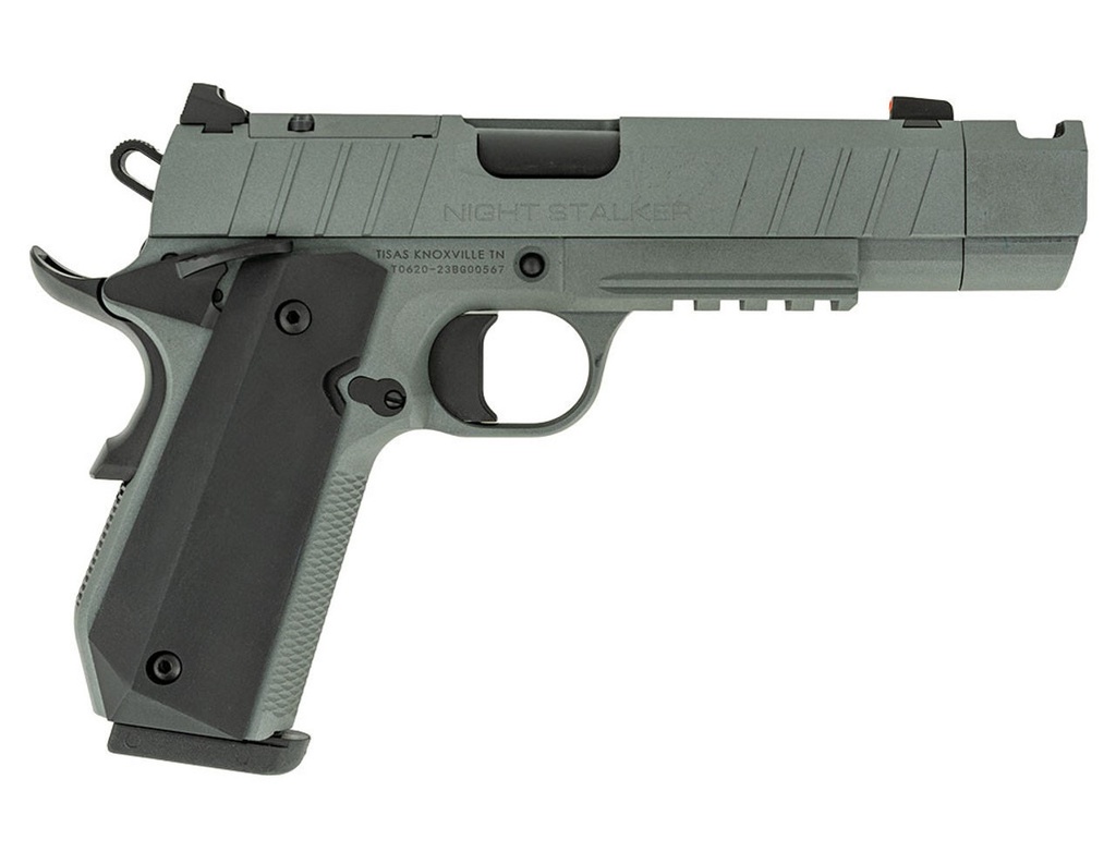 TISAS 1911 B45BA NSSF-C 45ACP 4.25" BBL 8RD W/ CASE GREY<