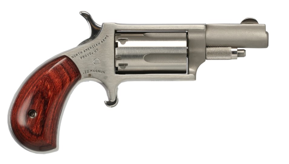 22MAG MINI REV 1-5/8" SS