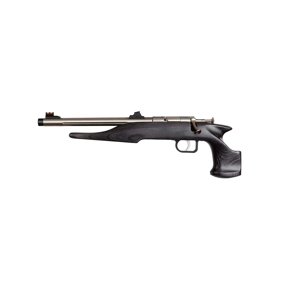CHIPMUNK 40103 HUNTER  YOUTH FRAME 22 LR SINGLE SHOT 9" THREADED STAINLESS STEEL BARREL, BLACK LAMINATE FRAME