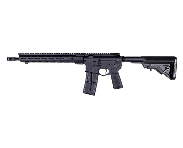 FRANKLIN ARMORY 0010058BLK F17 L 17 WSM 20+1 16" BLACK PRECISION BARREL, BLACK ALUMINUM W/M-LOK & PICATINNY RAIL RECEIVER, BLACK ADJUSTABLE B5 BRAVO STOCK
